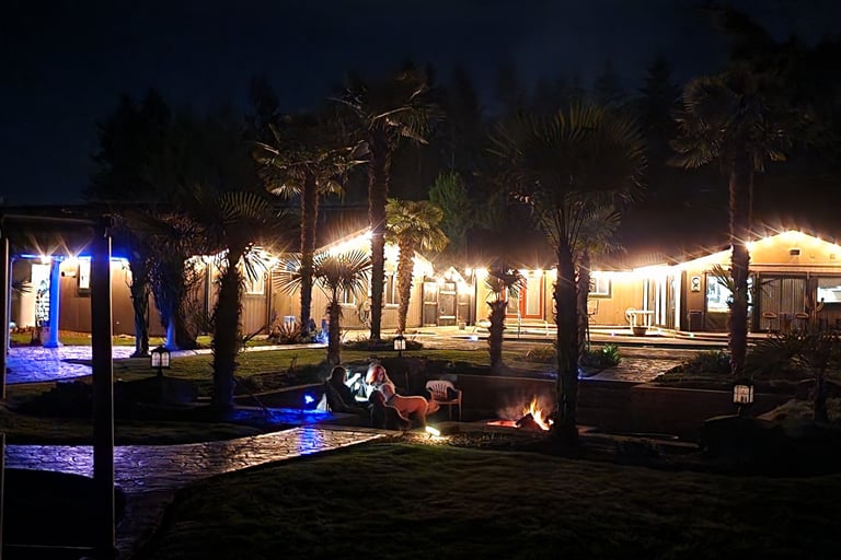 Tropical backyard at night