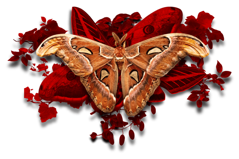 A moth setting upon other scarlet moths and vines.
