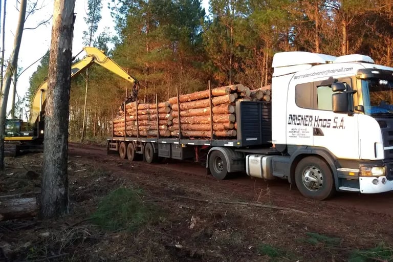 Grúa cargando maderas de producción propia.