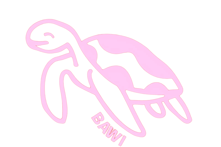 Logo Bawi, fermentos