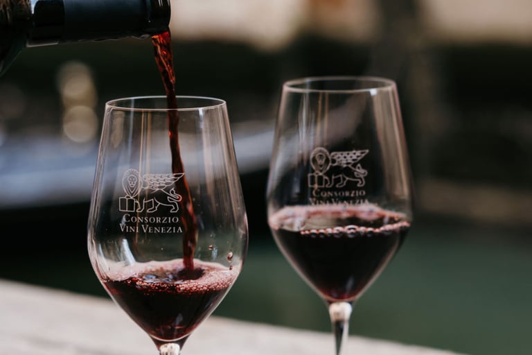 Degustazione dei vini del Consorzio Vini Venezia