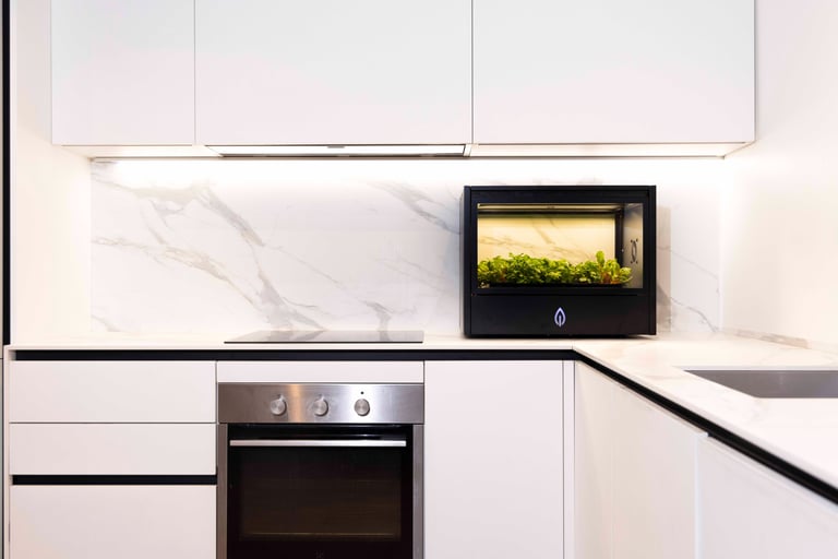 Sistema CultEvo installato in cucina domestica per coltivazione indoor