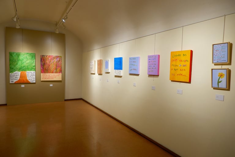 Allestimento della mostra di Cristian Bragaglio al Museo Lechi con opere esposte