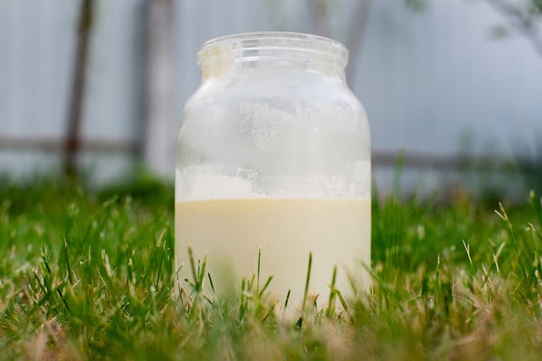 raw milk nutrition facts