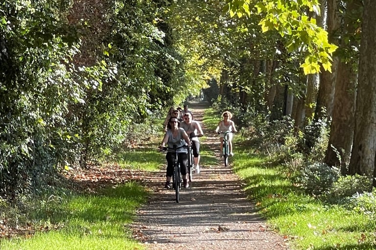 A group of cyclists riding bicycles down a sun-dappled, tree-lined nature trail in autumn.