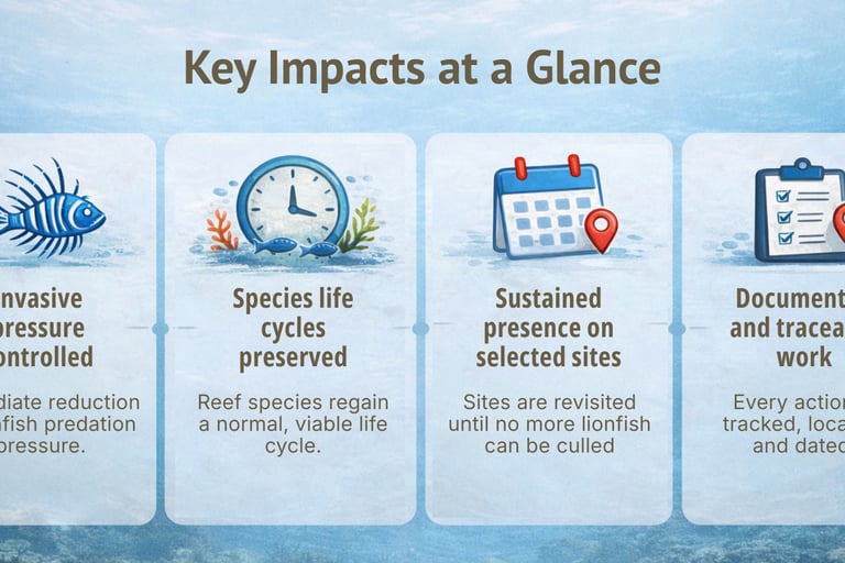 Overview of TTT field impact through lionfish removals, repeat site visits and documented monitoring