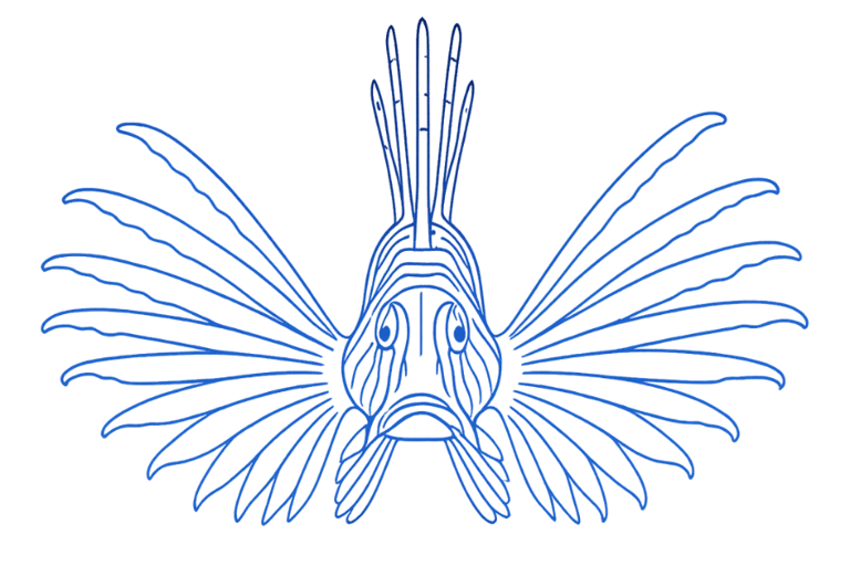 Caribbean lionfish grows faster, get bigger and possibly live longer