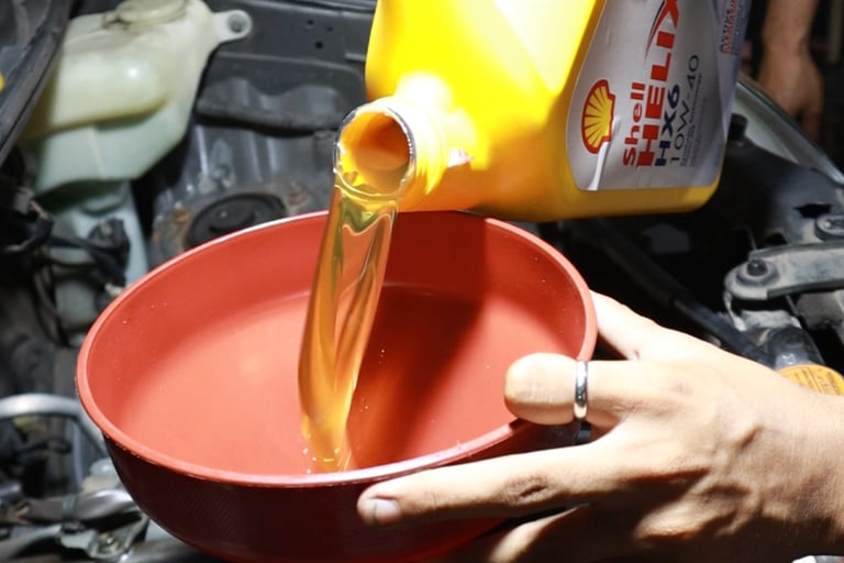 general service hektor