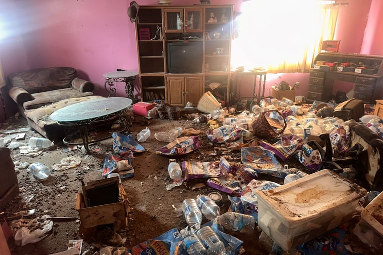 [hoarding cleaning services]