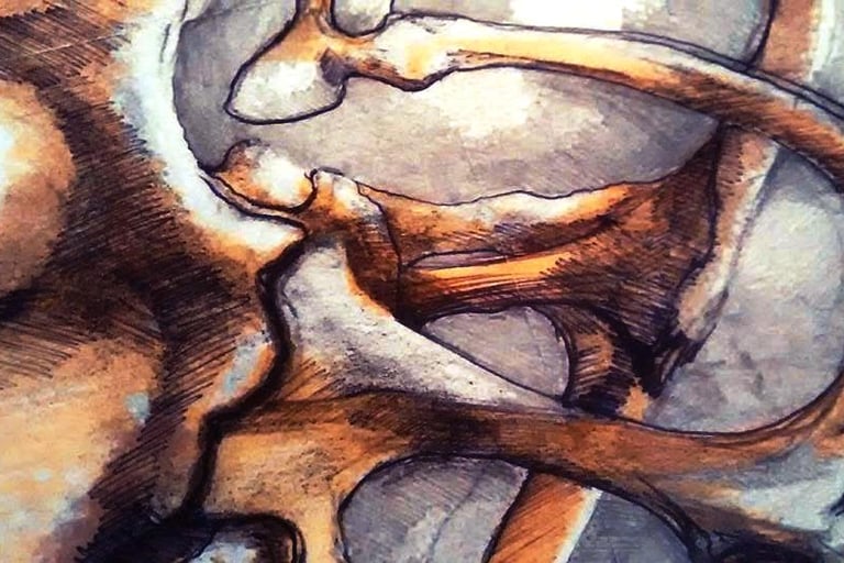 Transient Nature detail