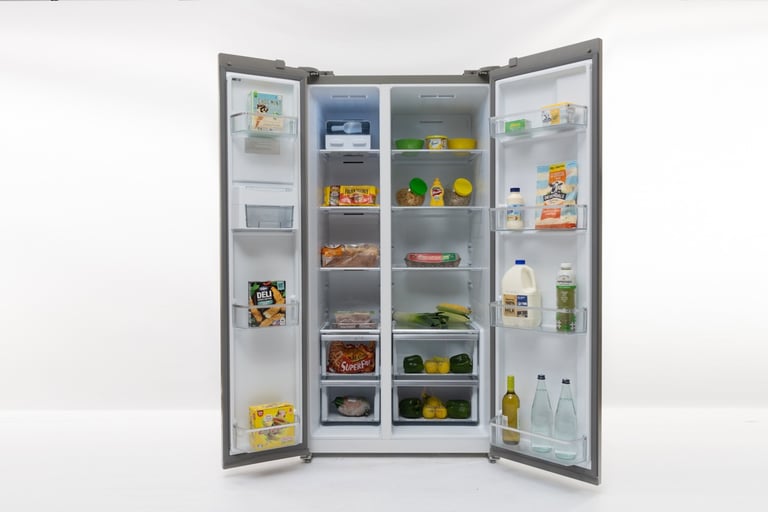 Westinghouse WSE6630SA Fridge Freezer