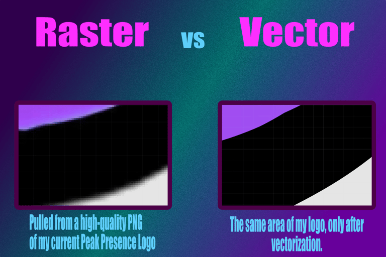 a picture of a computer screen showing a raster and a vector