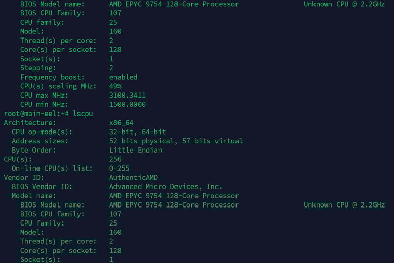 amd epyc 9754 lscpu output