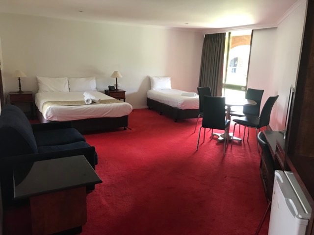 Pet friendly room