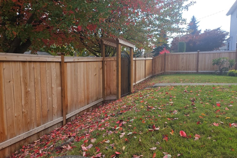 New fence with pergola gate