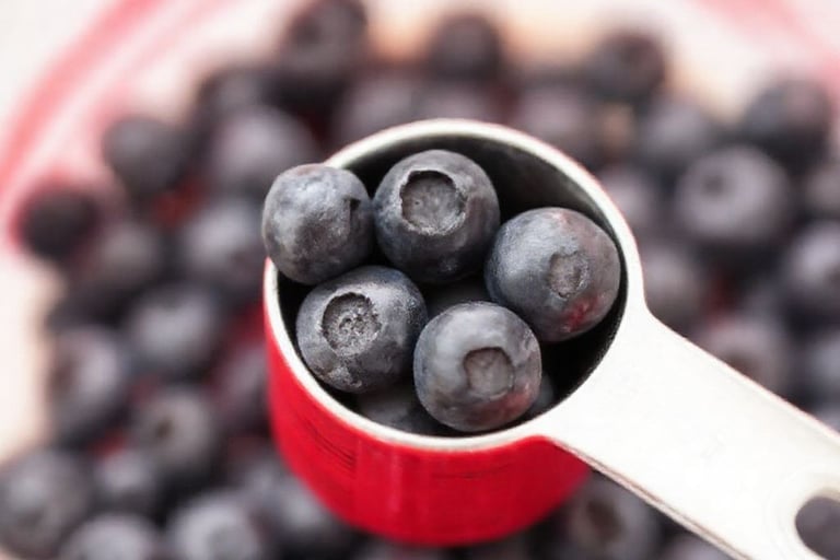 A very Small Portion Blueberries