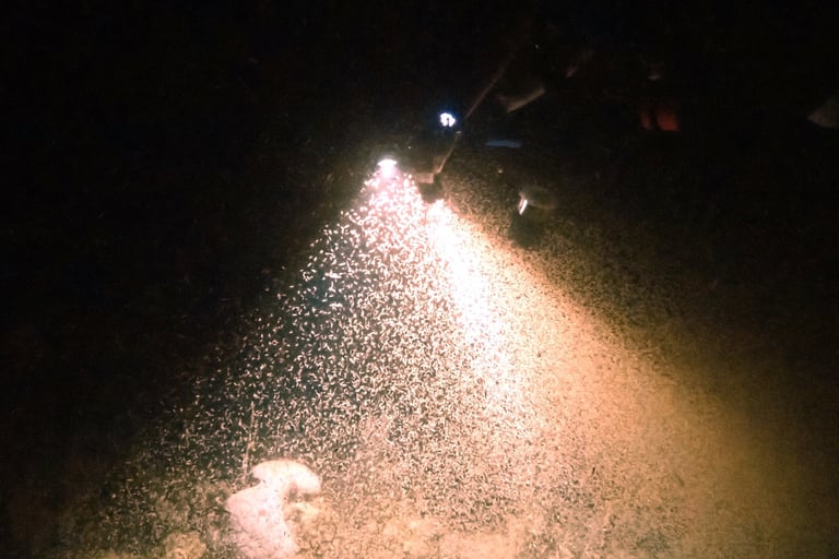 blood worms are not fun