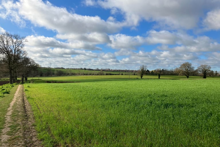 England landscape