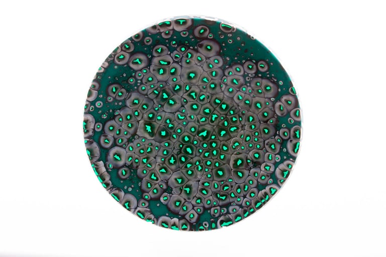 Emerald Pools - Dish