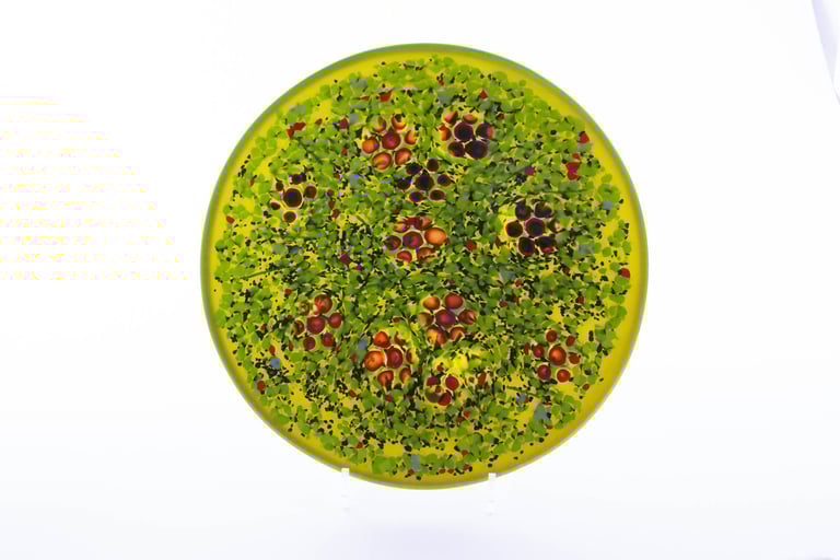 Summer Meadow - Dish