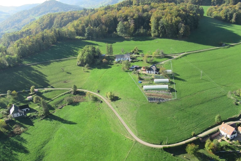 ferme knolpré fréland Bio
