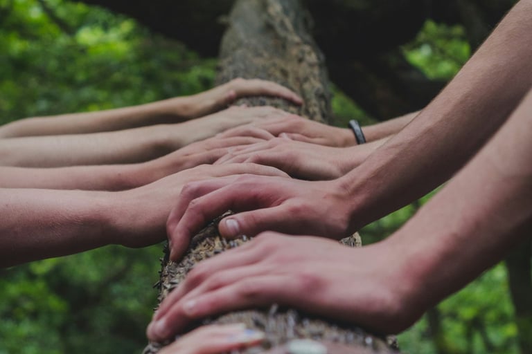 Diverse hands resting together on a fallen tree symbolizing unity and connection to nature