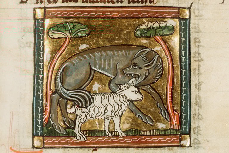 A medieval wolf