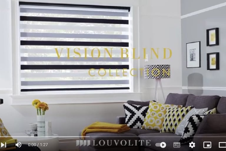 vision blinds