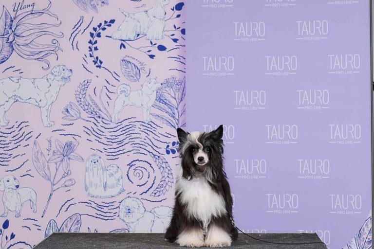 a dog sitting on a table with a sign that says tauroo tauing