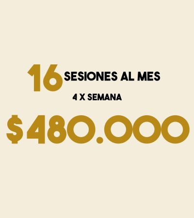 Precio de 16 Sesiones al mes por $480.000