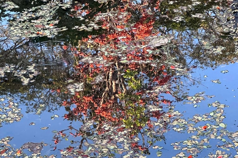 psichologine savaitgalio programa sustoti buti ir pamatyti vidinis aiskumas