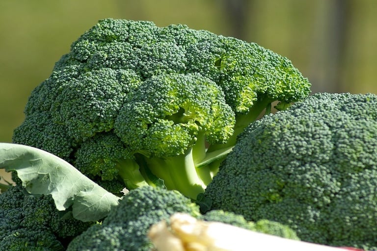Broccoli