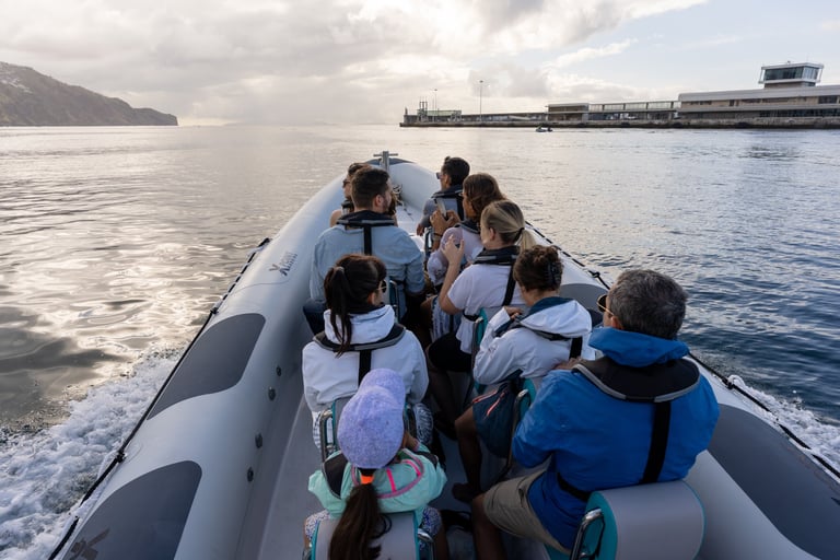 boat leaving the port in Funchal