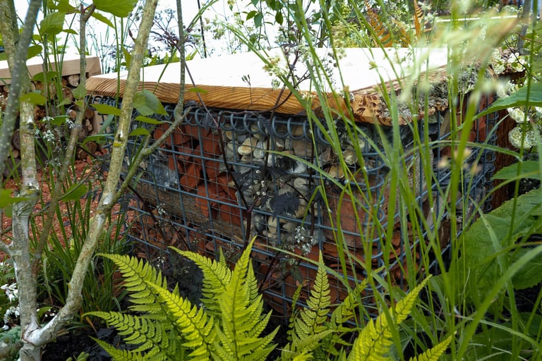 Gabion filled with reclaimed building materials seen through planting including Betula utilis var. jacquemontii multi-stem