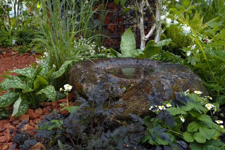 An ammonite has been turned into a water feature