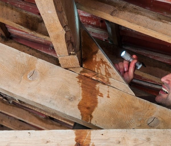 Inspecting roof beams