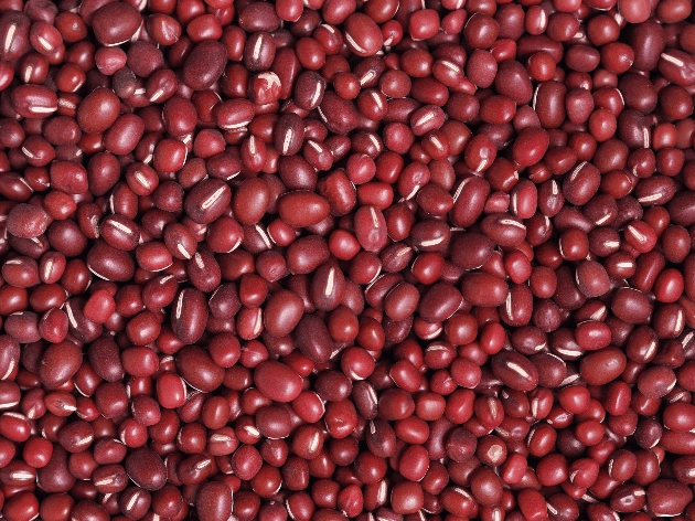 Feijão vermelho ou rajado