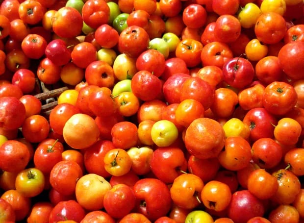 Acerola laranja/amarelada