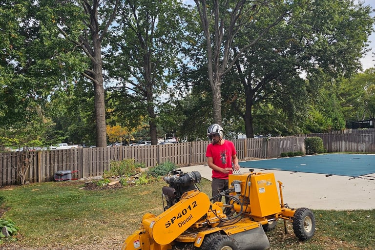 Jesse stump grinding in Olathe, KS