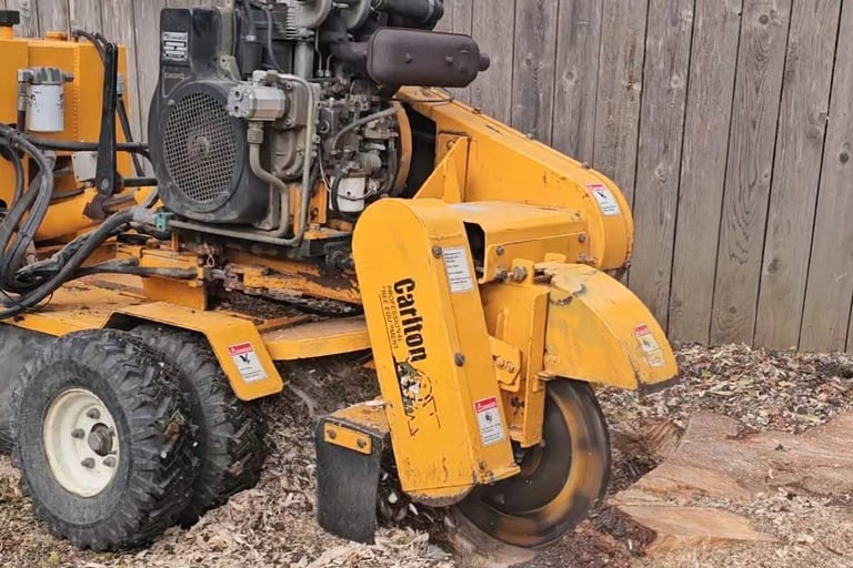 A yellow Carlton stump grinder machine removing a tree stump in a yard with wood chips.