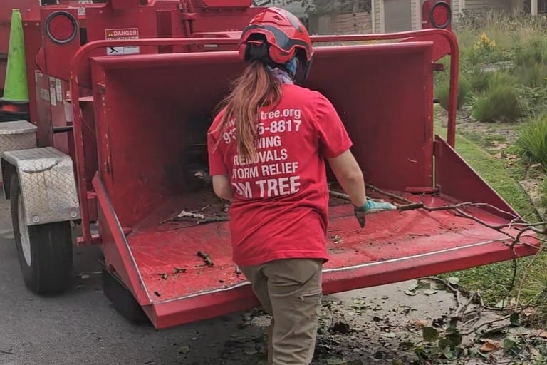 Kate chipping up brush from a storm jo in Ottawa, KS