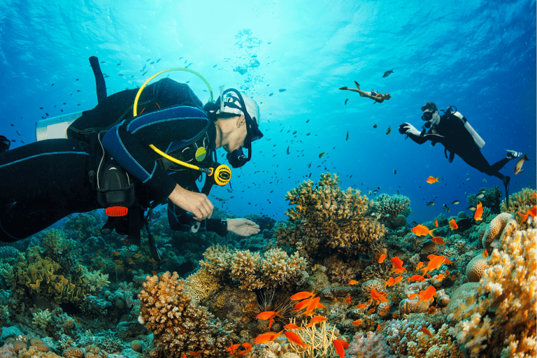 Moalboal is a coastal town in the southwest of Cebu Island, Philippines