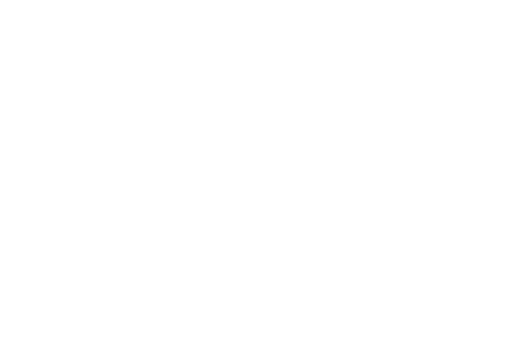 pioneer logo white