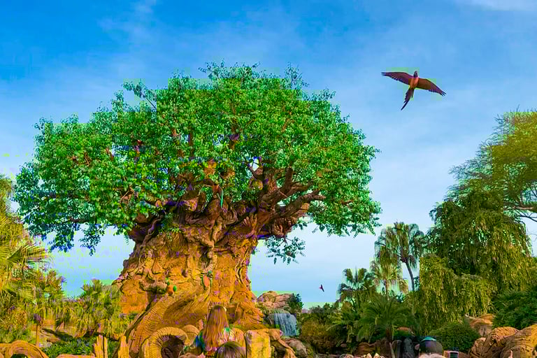 parque disney animal kingdom