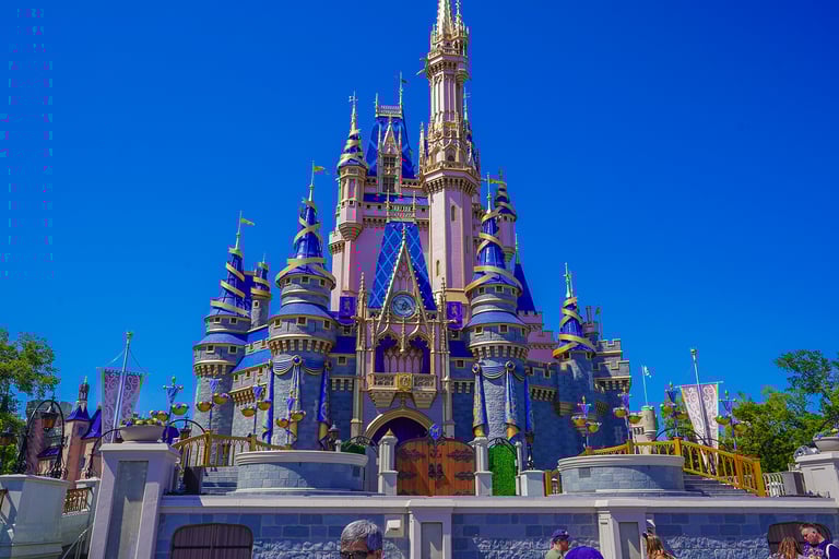 parquemagic kingdom