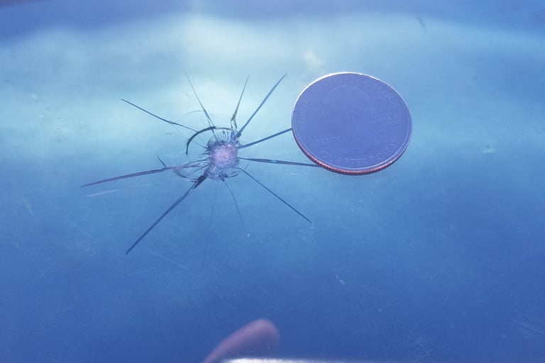 A star-shaped windshield crack next to a US quarter for scale, showing windshield damage requiring auto glass repair.