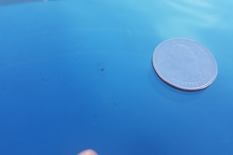A US quarter coin sits next to a small rock chip on a blue car hood for scale.