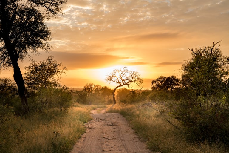 responsible tourism, kruger national park, sunrise