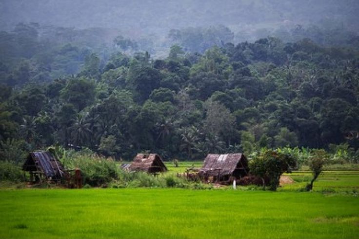 gem mine in sri lanka