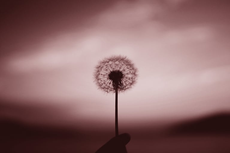 Image credit: Aleksandr Ledogorov from Unsplash